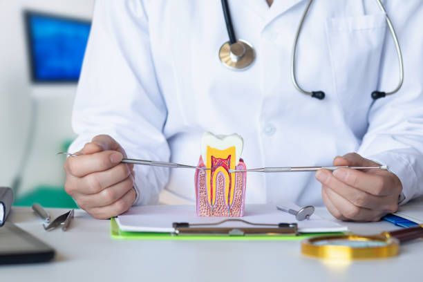Best Cracked Tooth Emergency Dentist  in Trent Woods, NC